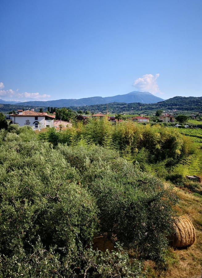 Appartamenti Bellini Bardolino Esterno foto