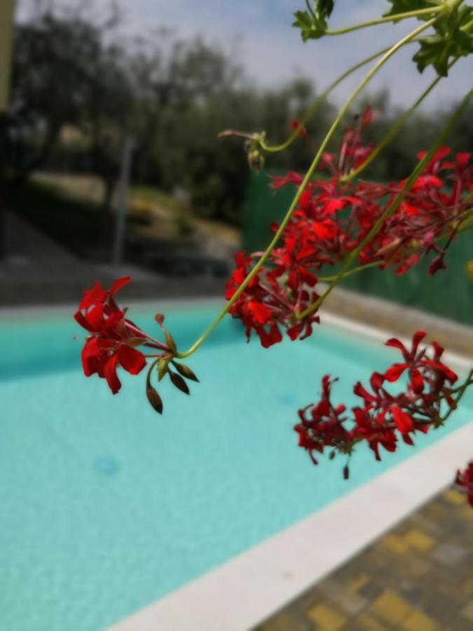 Appartamenti Bellini Bardolino Esterno foto