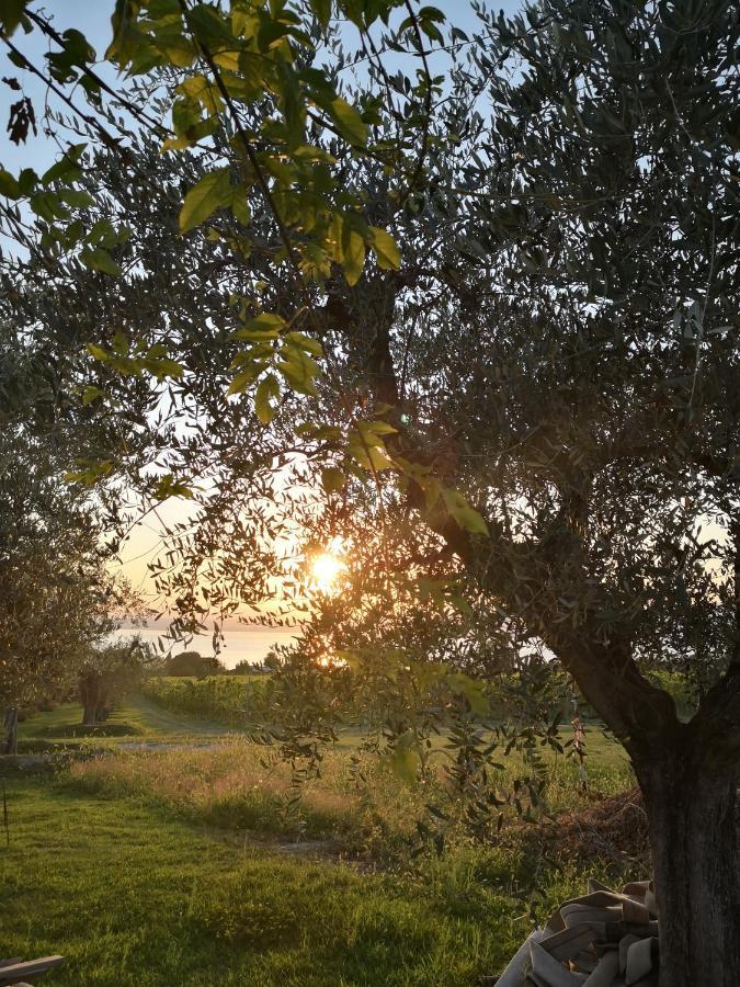 Appartamenti Bellini Bardolino Esterno foto