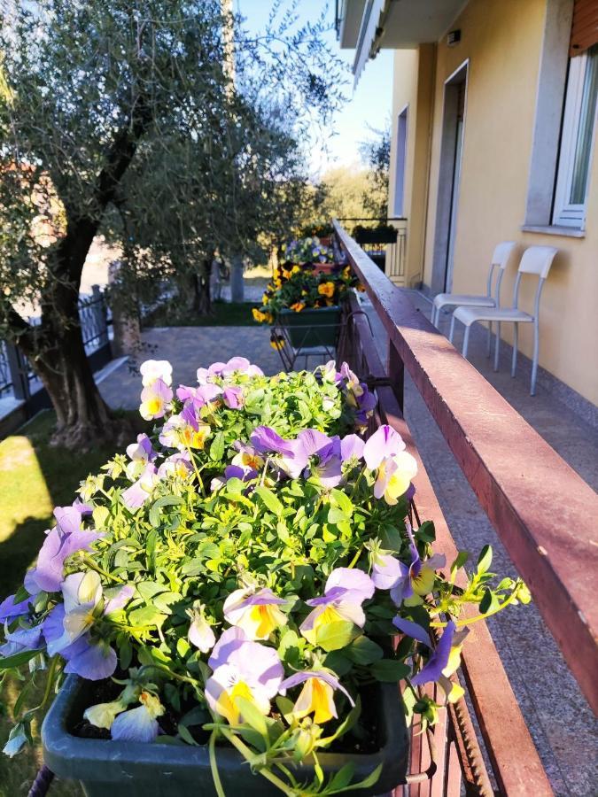 Appartamenti Bellini Bardolino Esterno foto