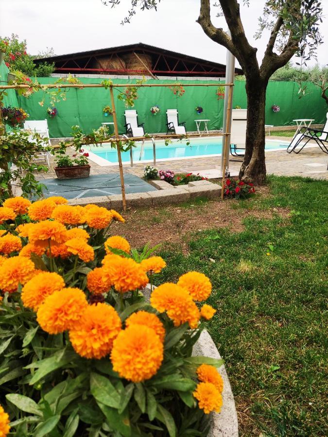 Appartamenti Bellini Bardolino Esterno foto