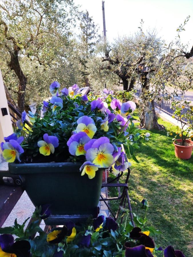 Appartamenti Bellini Bardolino Esterno foto